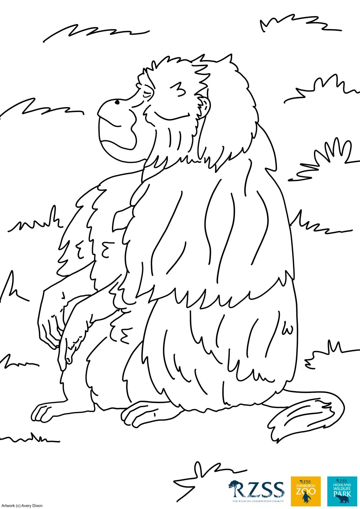 colouring sheet