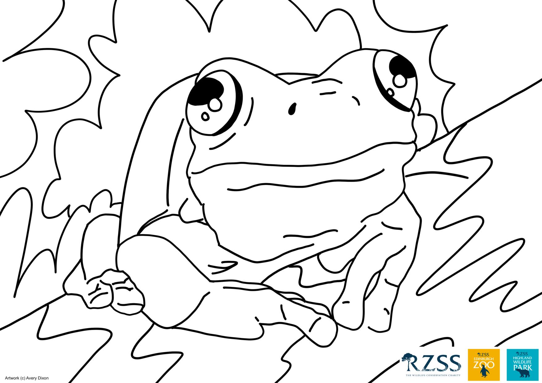 Printable frog colouring