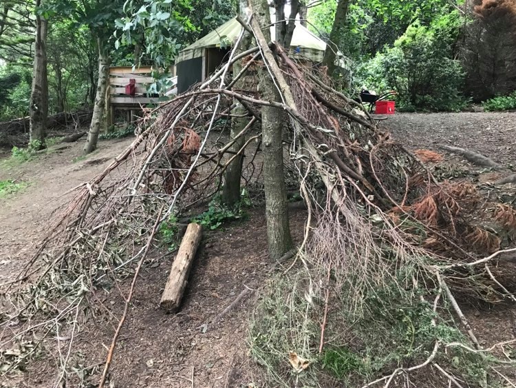 A forest den made from branches