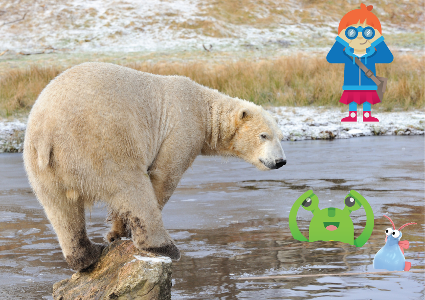 Ruby, Zed and Loola at the Highland Wildlife Park with a polar bear