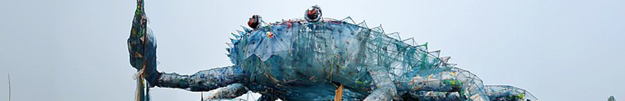 Augustus Binu Crab recycling