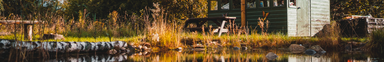 Wildlife garden photo by Mark Woodward