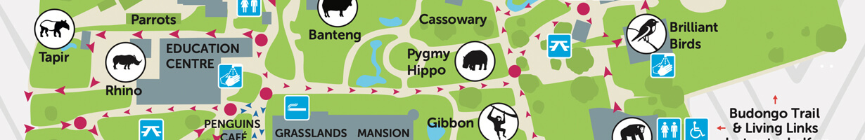 A slice of the map of Edinburgh Zoo
