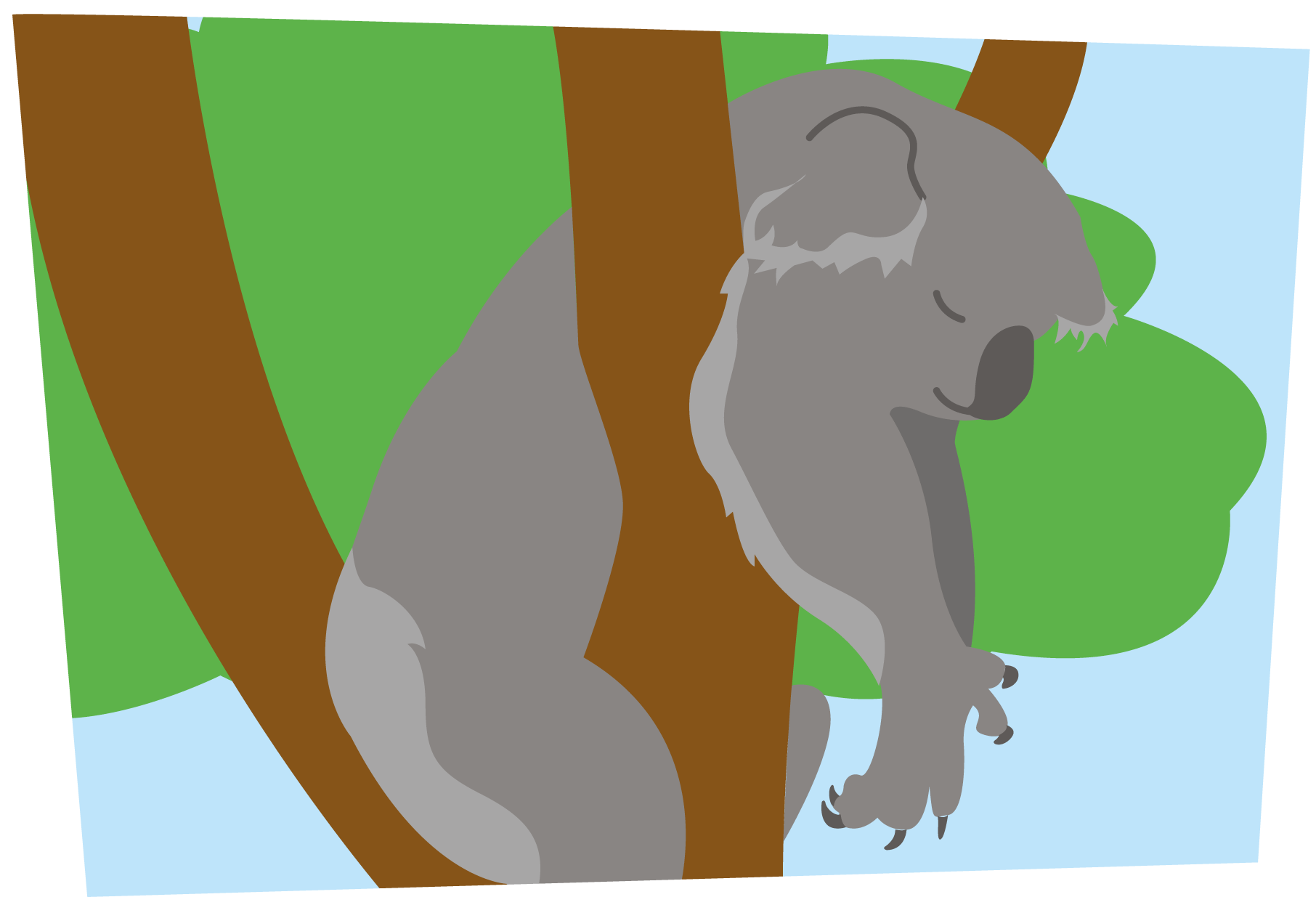 Sleeping Koala