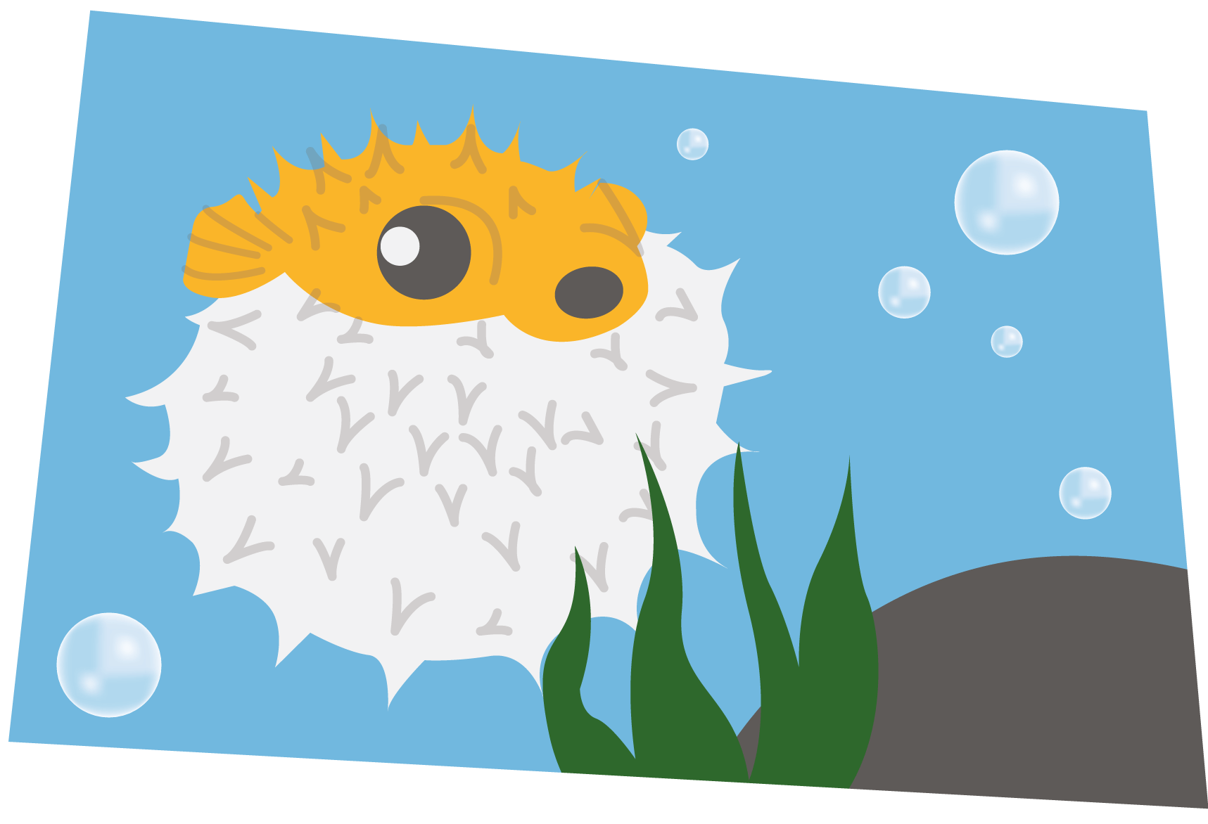 Pufferfish