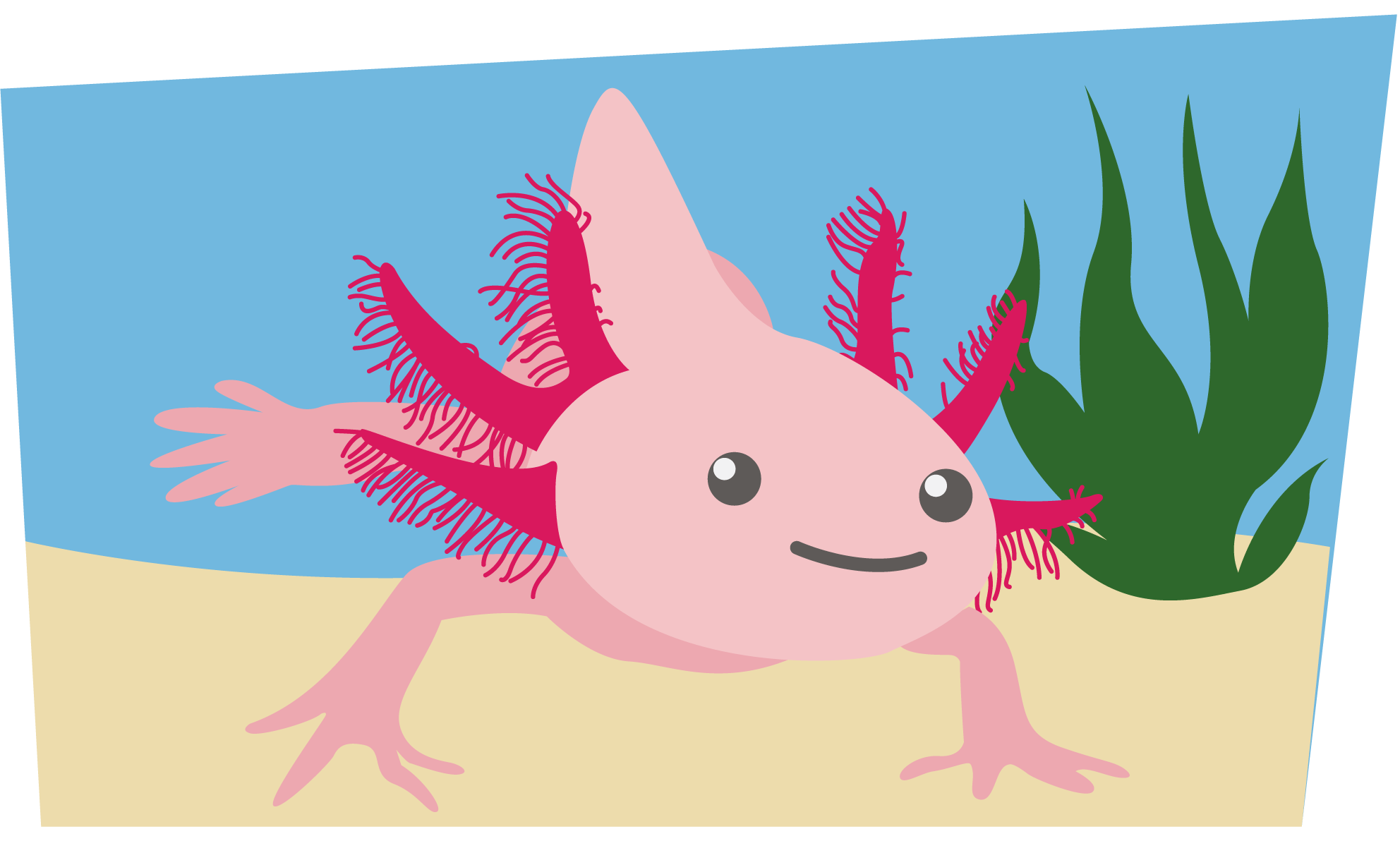 smiling axolotl