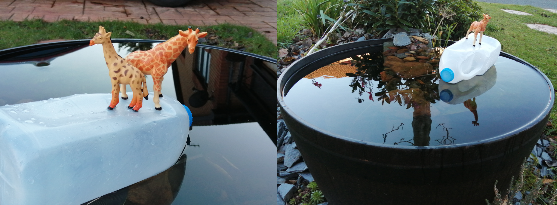 Two toy giraffes sitting atop a recycled milk bottle as a raft..