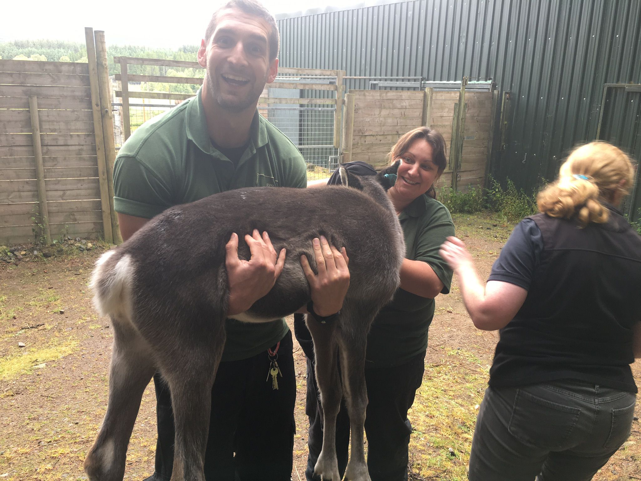 Keeper with reindeer