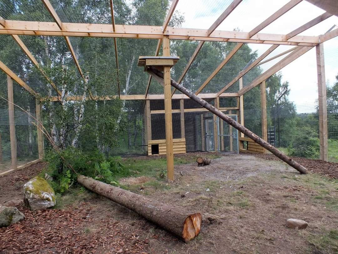 Snow leopard upper enclosure