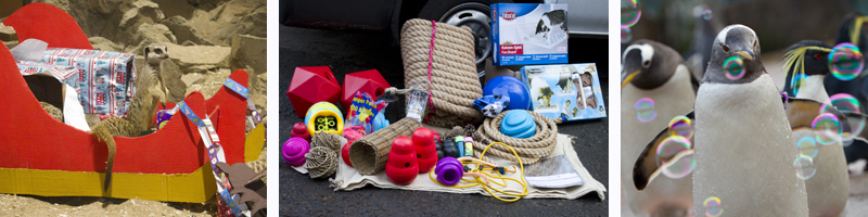 Enrichment materials