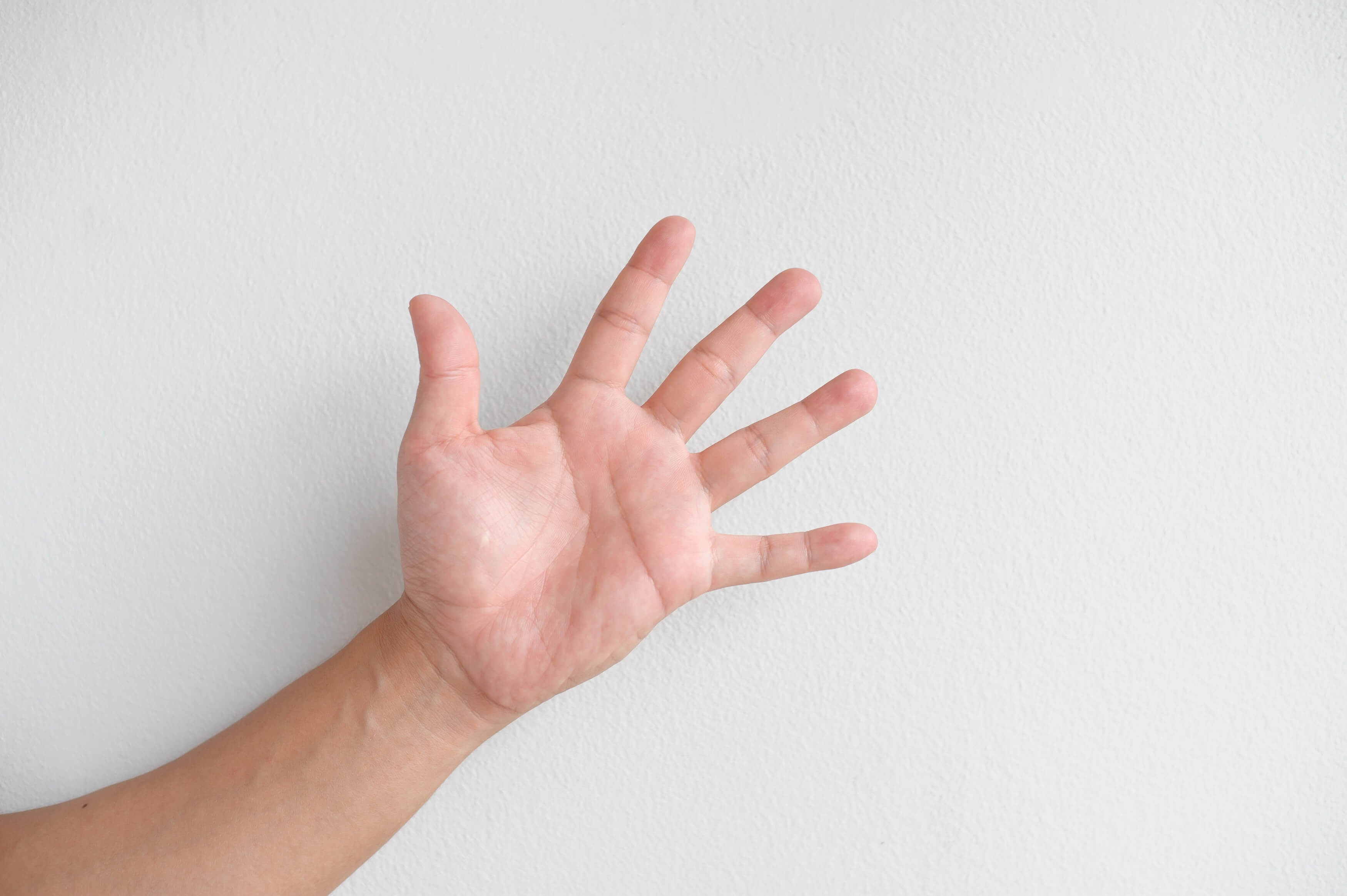 Human hand showing palm, fingers and thumb