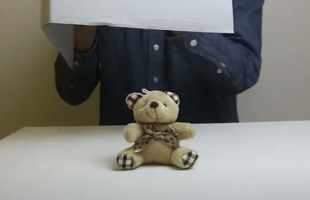 Researcher lifting screen to show a teddy bear