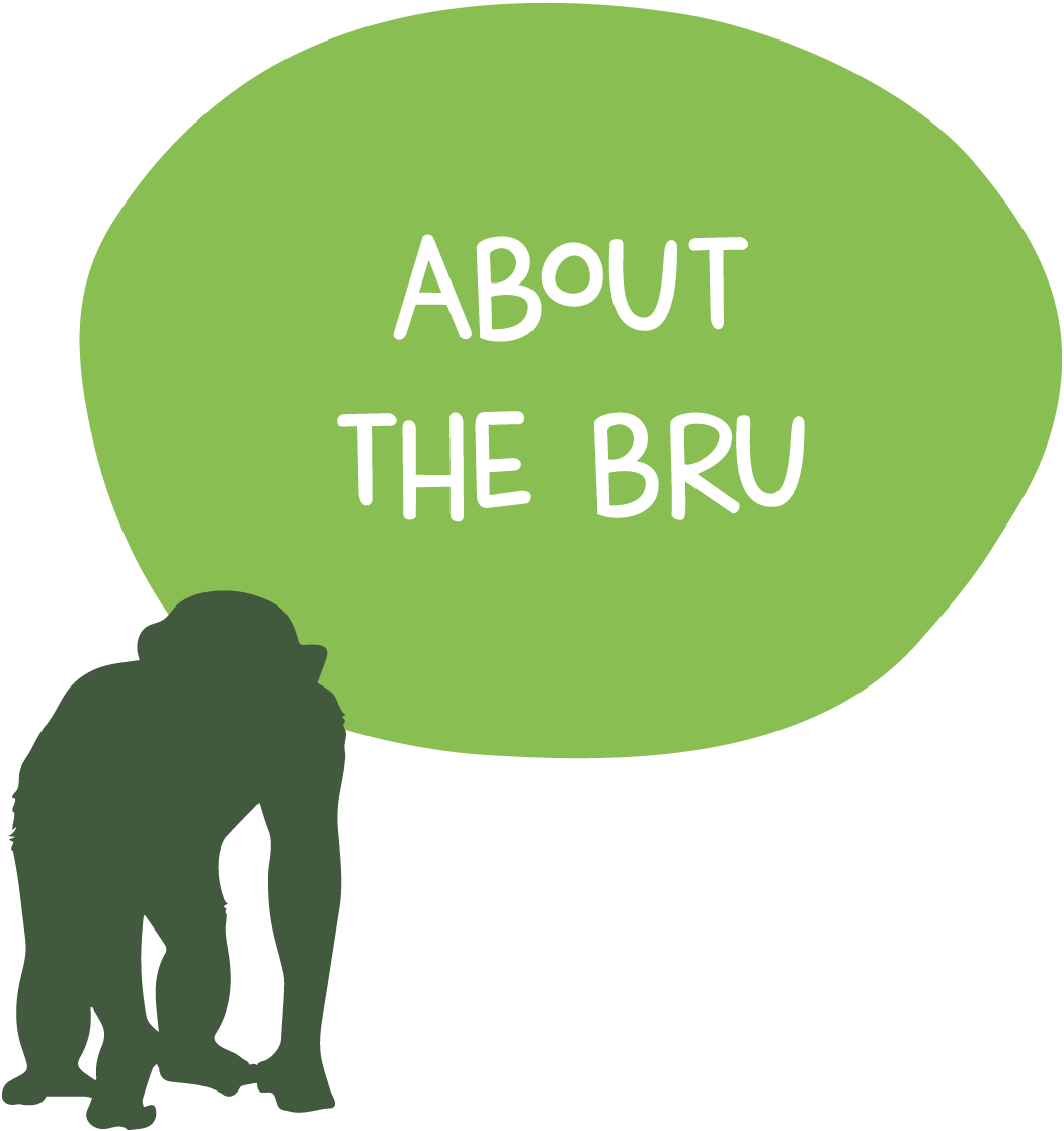 About BRU