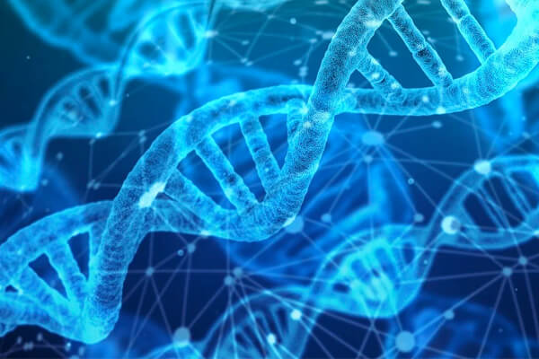 A computer generated image of strands of DNA