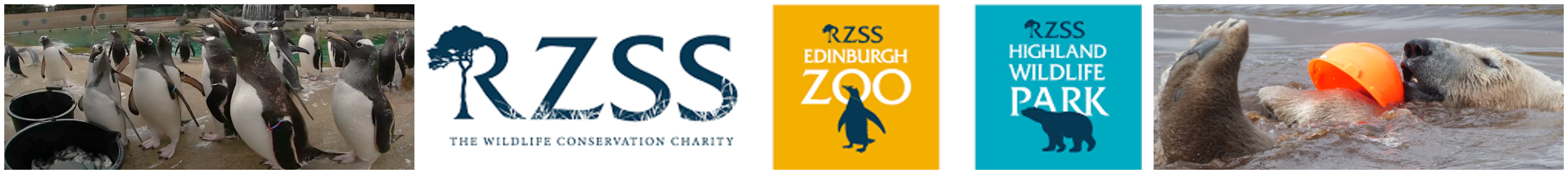 RZSS logo
