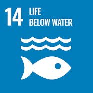 UN SDG 14: Life below water logo