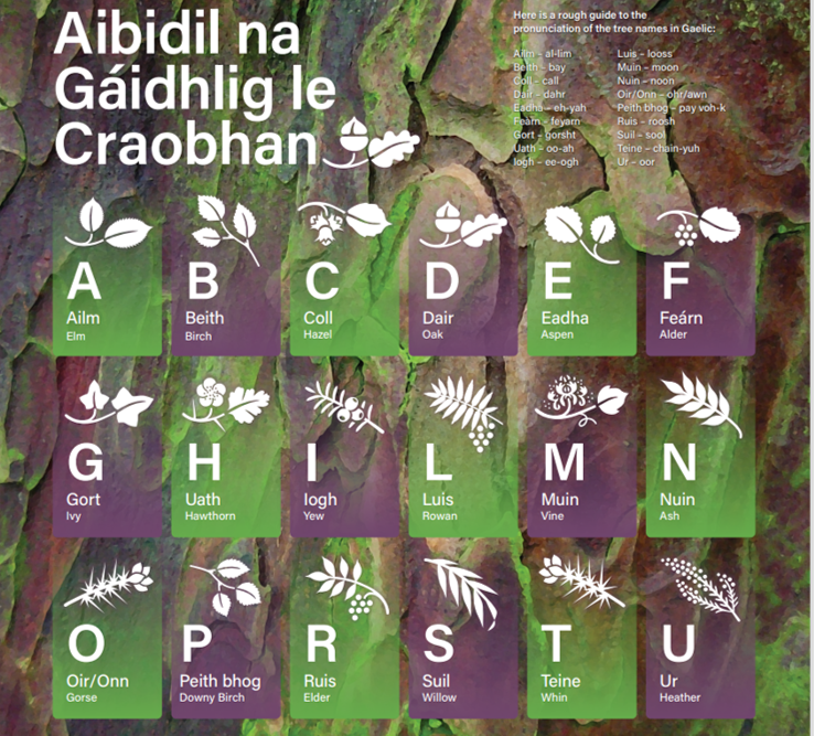 Gaelic tree alphabet