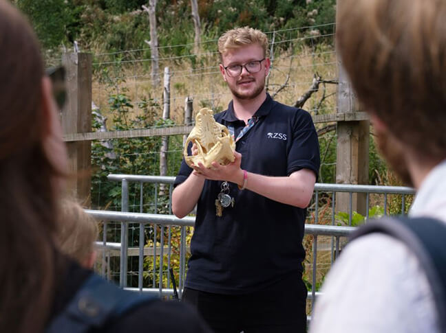 a photo shot from between the back of two people's heads of a zoo ranger holding a skull 