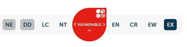 IUCN vulnerable