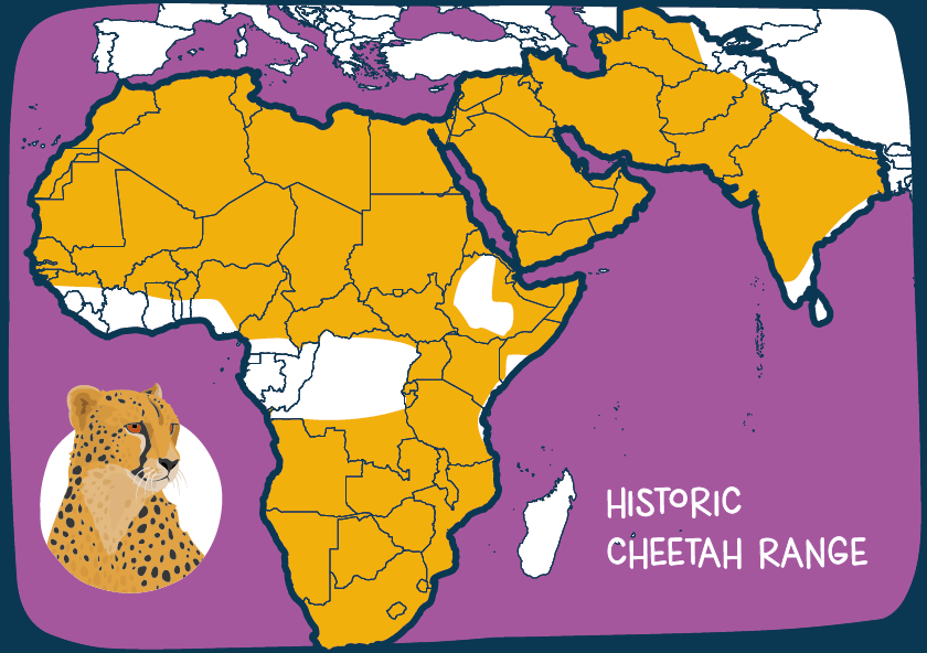 Cheetah Historic Range